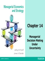 Managerial economics  strategy by m perloff and brander  chapter 14 decision making uncertainty