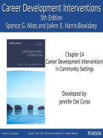 Career development interventions 5th by spence niles and bowlsbey chapter 14 