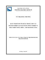 Quản trị rủi ro tín dụng trong cho vay doanh nghiệp tại ngân hàng nông nghiệp và phát triển nông thôn   chi nhánh đà nẵng