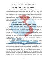 TÁC ĐỘNG CỦA CHI TIÊU CÔNG TRONG TĂNG TRƯỞNG KINH TẾ