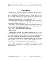 Thiết kế sơ bộ mỏ than Đèo Nai