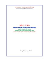Báo cáo Dự án đầu tư xây dựng nhà máy sản xuất chế biến thực phẩm