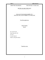 BÀI LUẬN VỀ DỰ ĐỊNH NGHIÊN CỨU ĐĂNG KÝ XÉT TUYỂN NGHIÊN CỨU SINH NĂM