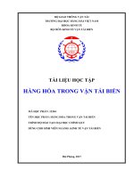 tài liệu hàng hóa trong vận tải biển  