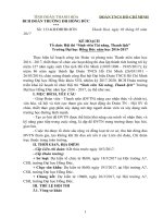 kế hoạch Tổ chức Hội thi “Sinh viên Tài năng, Thanh lịch” Trường Đại học Hồng Đức năm học 2016-2017