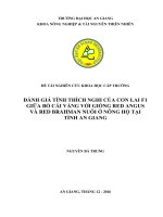 Đánh giá tính thích nghi của con lai f1 giữa bò cái vàng với giống red angus và red brahman nuôi ở nông hộ tại tỉnh an giang