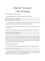 Soạn bài: Thương vợ (Trần Tế Xương)