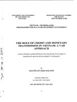 The role of credit and monetary transmission in vietnam a var approach  luận văn thạc sĩ 