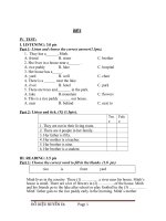 tổng hợp đề thi ngữ pháp , từ vựng lớp 6