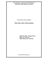 Tìm công thức muối amoni 