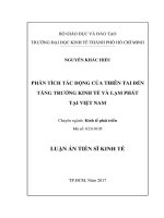 Phân tích tác động của thiên tai đến tăng trưởng kinh tế và lạm phát tại Việt Nam (LA tiến sĩ)