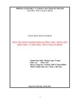 Một số kinh nghiệm dạy bồi dưỡng HSG môn hóa học ở trường THCS thạch bình 