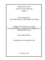 Nghiên cứu chế tạo vật liệu nano sắt oxihyđroxit (FeOOH) thử nghiệm xử lý môi trường nước (tt)