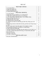 Một vài kinh nghiệm hướng dẫn học sinh phân loại và rèn kỹ năng giải bài tập hóa học vô cơ ở trường THCS cẩm long 