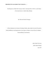 The perspective of older war veterans of italo  abyssinian war of 1935 41, on the nature of care they receive in addis ababa, ethiopia 