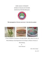 Micropropagation of ximenia americana l  from shoot tip explants 