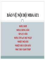 docslide net bao ve noi bo mba at1
