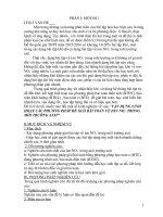 Sử dụng linh hoạt các phương pháp để giải bài toán về ion NO3  trong môi trường axit  