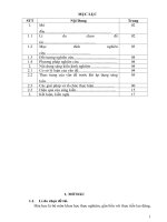 Sử dụng qui tắc hóa trị giúp học sinh lớp 8 lập phương trình hóa học dạng khó tại trường THCS cù chính lan 