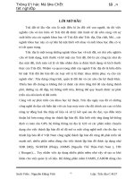 Thành lập bản đồ địa chính từ dữ liệu đo của máy toàn dạc điện tử , một số modul tiện ích và các phần mềm đồ họa