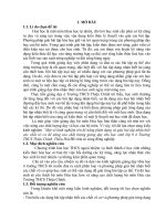 Một số kinh nghiệm rèn kỹ năng phân dạng và giải bài tập nhận biết các chất vô cơ để nâng cao chất lượng giảng dạy cho học sinh lớp 9 ở trường THCS thiệu chính, thiệu hóa 