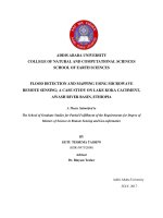 Flood detection and mapping using microwave remote sensing 