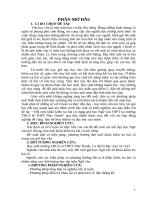 Đổi mới khâu kiểm tra bài cũ trong giờ học ngữ văn THPT tại trường THCSTHPT như thanh 