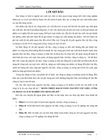 báo cáo thực tập tốt nghiệp chuyên đề nguyên vật liệu và công cụ dụng cụ