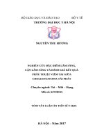 Nghiên cứu đặc điểm lâm sàng, cận lâm sàng và đánh giá kết quả phẫu thuật viêm tai giữa cholesteatoma tái phát (TT)