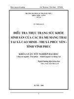 Điều tra thực trạng sức khoẻ sinh sản của các bà mẹ mang thai tại xã Cao Minh  thị xã Phúc Yên  tỉnh Vĩnh Phúc (Khóa luận tốt nghiệp)