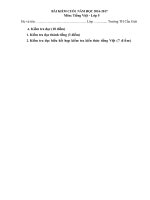 Đề thi Tiếng Việt lớp 5 cuối năm