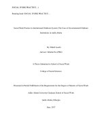 Social work practice in institutional childcare system the case of governmental childcare institutions in addis ababa 