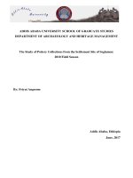 The study of pottery collections from the settlement site of seglamen 2010 field season 