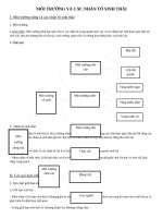 Sinh 12 Chuyên đề SINH THÁI HỌC CÁ THỂ VÀ QUẦN THỂ