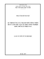 Sự thích ứng của thanh niên nông thôn di cư làm việc tại các khu công nghiệp, khu chế xuất hiện nay