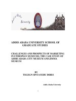 Challenges and prospects of marketing in ethiopian museums; the case study of addis ababa city museum and jimma museum 