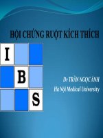 HỘI CHỨNG RUỘT KÍCH THÍCH