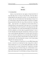 Xây dựng giáo án giảng dạy các bài thực hành trong chương trình Sinh học 10 THPT theo hướng lấy học sinh làm trung tâm (Khóa luận tốt nghiệp)