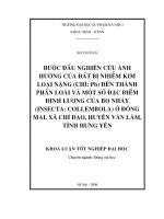 Bước đầu nghiên cứu ảnh hưởng của đất bị nhiễm kim loại nặng (Chì: Pb) đến thành phần loài và một số đặc điểm định lượng của bọ nhảy (Insecta: Collembola) ở Đồng mai, xã Chỉ Đạo, huyện Văn Lâm, tỉnh Hưng Yên (Khóa luận tốt nghiệp)