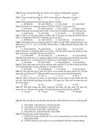 Bai tap estelipit co dap an