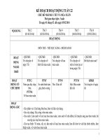 Giáo án mầm non lớp chồi tuần 22  tết và mùa xuân 