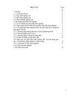 Hướng dẫ học sinh tổng hợp các phương pháp giải phương trình, bất phương trình và hệ phương trình chứa căn thức 