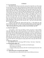 Một số phương pháp tính giới hạn của dãy số cho bởi hệ thức truy hồi 