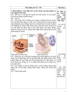 Giáo dục ý thức bảo vệ môi trường cho học sinh qua bài 30 bảo vệ vốn gen di truyền của loài người – sinh học 12 nâng cao 