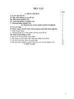 Dạy học theo định hướng phát triển năng lực học sinh qua một số đoạn trích truyện kiều trong chương trình ngữ văn lớp 10 