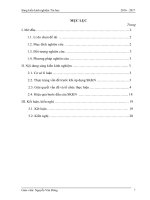 Dạy học kiểu dữ liệu xâu theo định hướng phát triển năng lực học sinh 