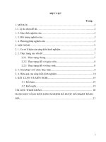 Phương pháp giải một số dạng toán sóng cơ ôn thi học sinh giỏi 