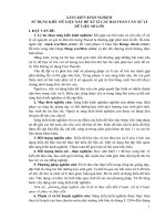 Sử dụng kiểu dữ liệu xâu để xử lý các bài toán cần xử lý dữ liệu số lớn 