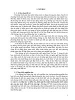 Dạy học và kiểm tra, đánh giá theo định hướng phát triển năng lực của học sinh  chủ đề cấu trúc lặp   tin học 11 