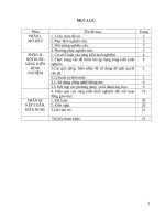 Một số kinh nghiệm khi dạy bài thơ đây thôn vĩ dạ của hàn mặc tử 